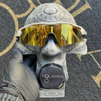 Radar EV Cinza Gold